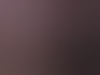 avontuurgent