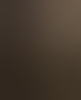 bramv4