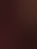brixus