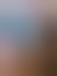 deefp
