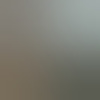 dominantt