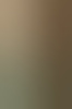 duootje
