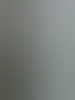 fluppe