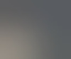 heterobischierig24