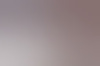 joeribi43