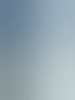 lottewim