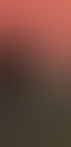 mr