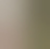 peterdb
